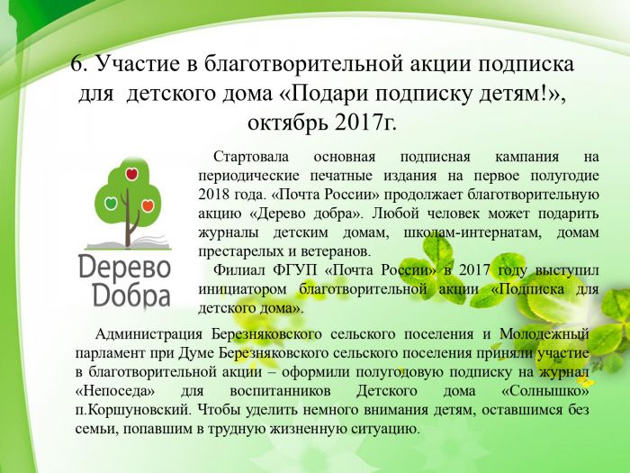 Отчет работы Молодежного парламента Березняковского сельского поселения за 2017 год